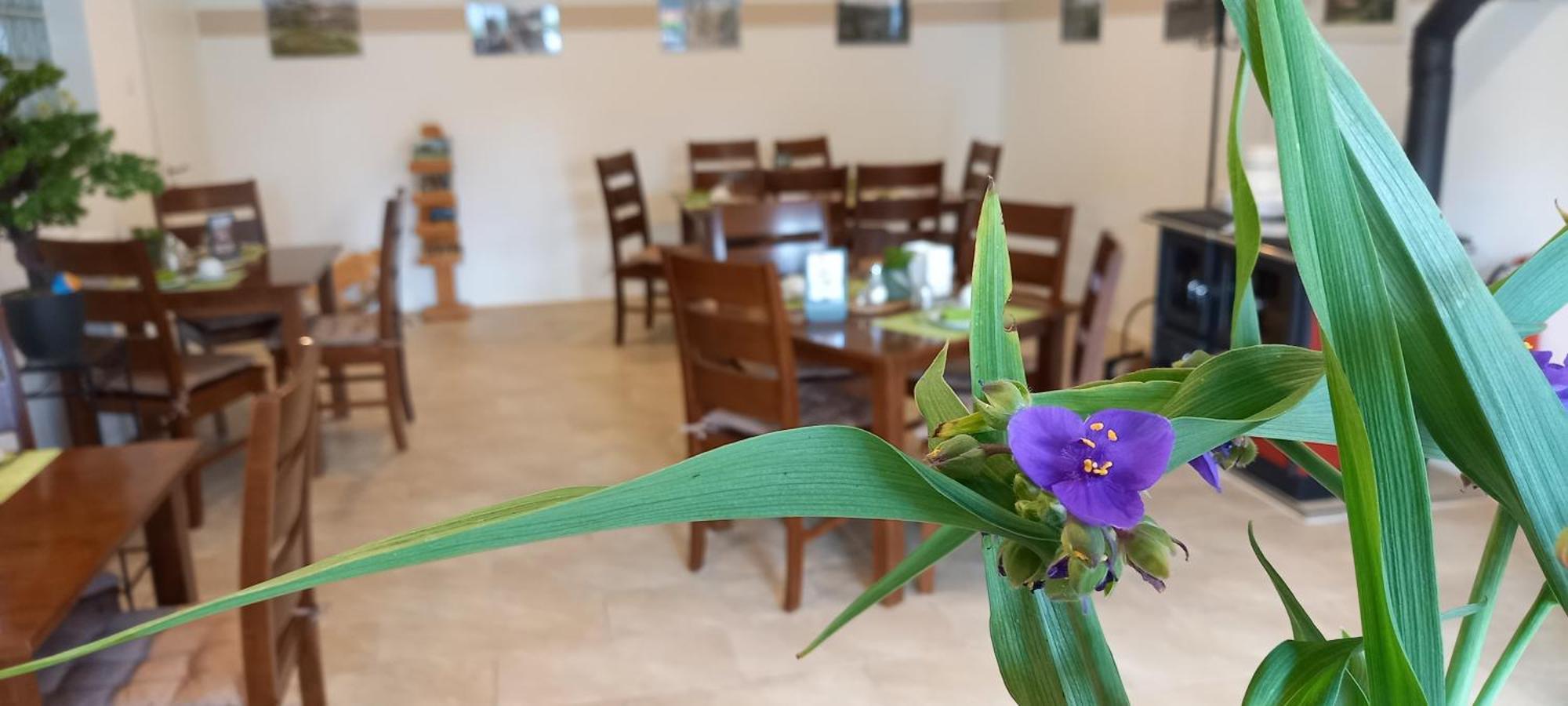 Gaestehaus Wohngut Eisenach Eksteriør bilde